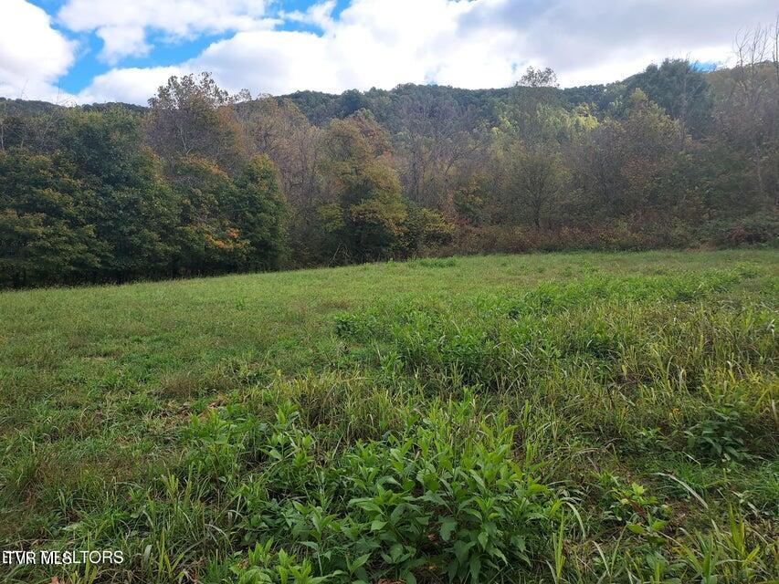 6835 Mulberry Gap Road Property Photo 40