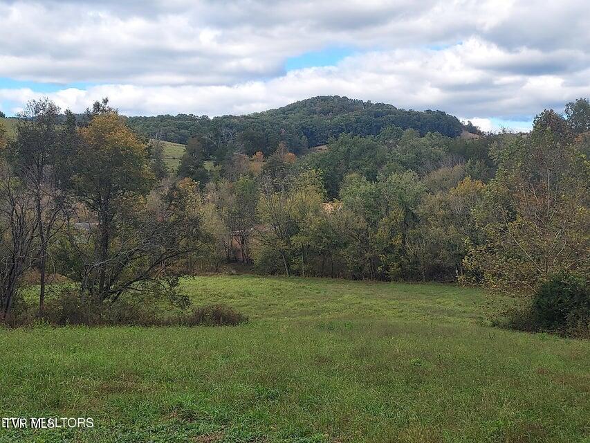 6835 Mulberry Gap Road Property Photo 41