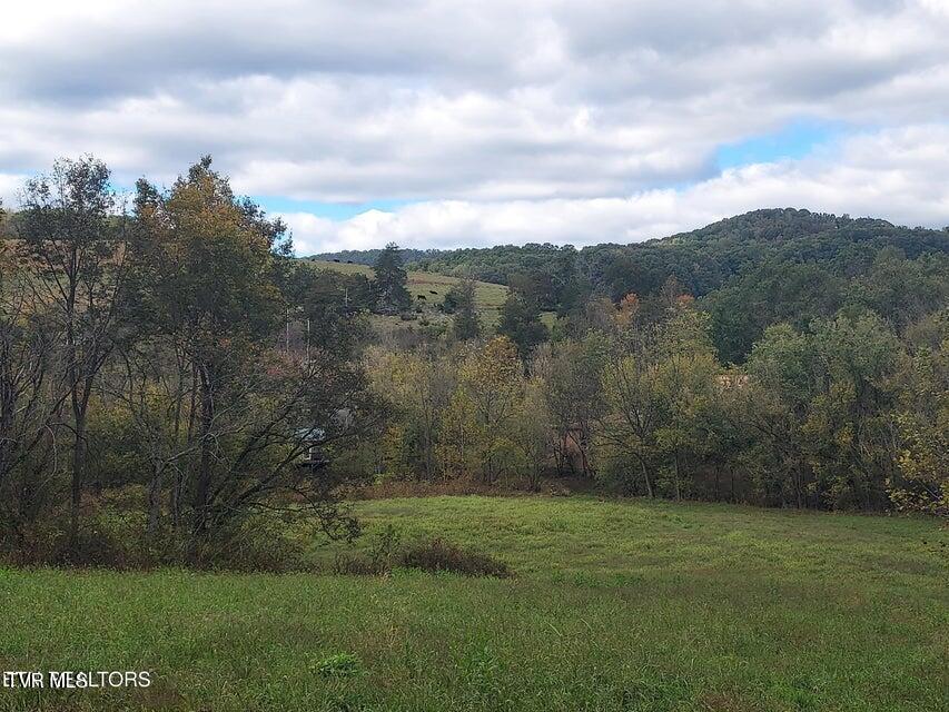 6835 Mulberry Gap Road Property Photo 42