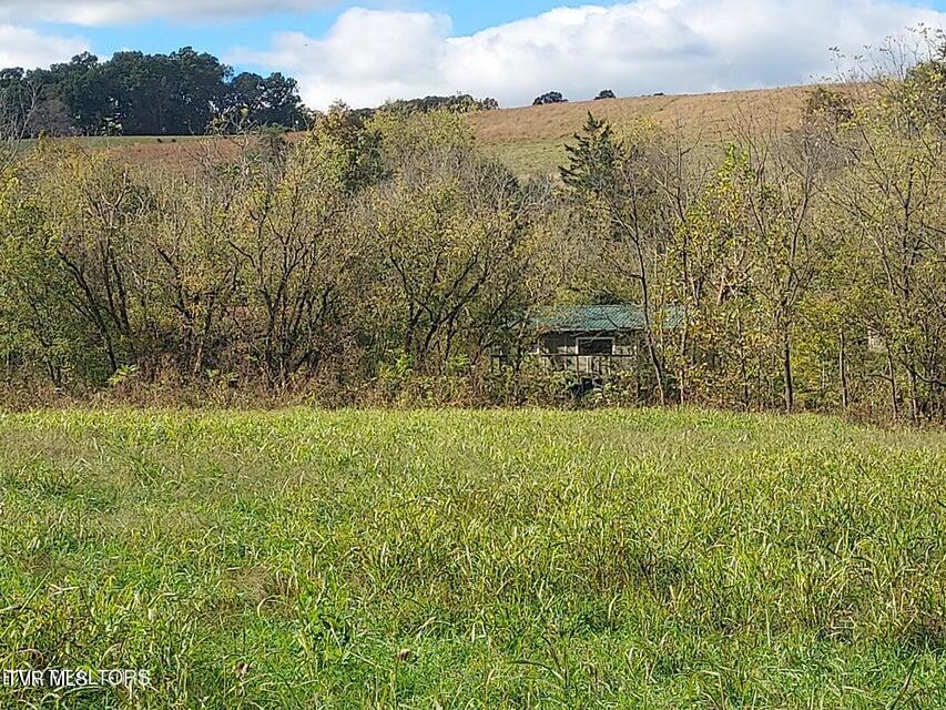 6835 Mulberry Gap Road Property Photo 43