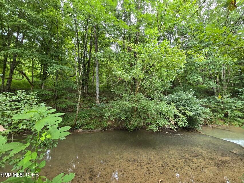 6835 Mulberry Gap Road Property Photo 49