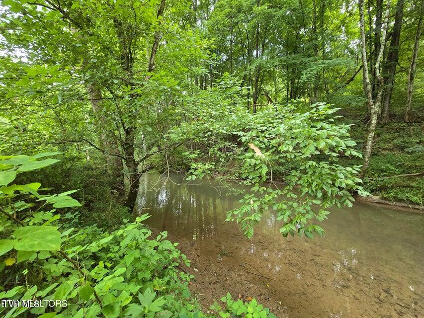 6835 Mulberry Gap Road Property Photo 50