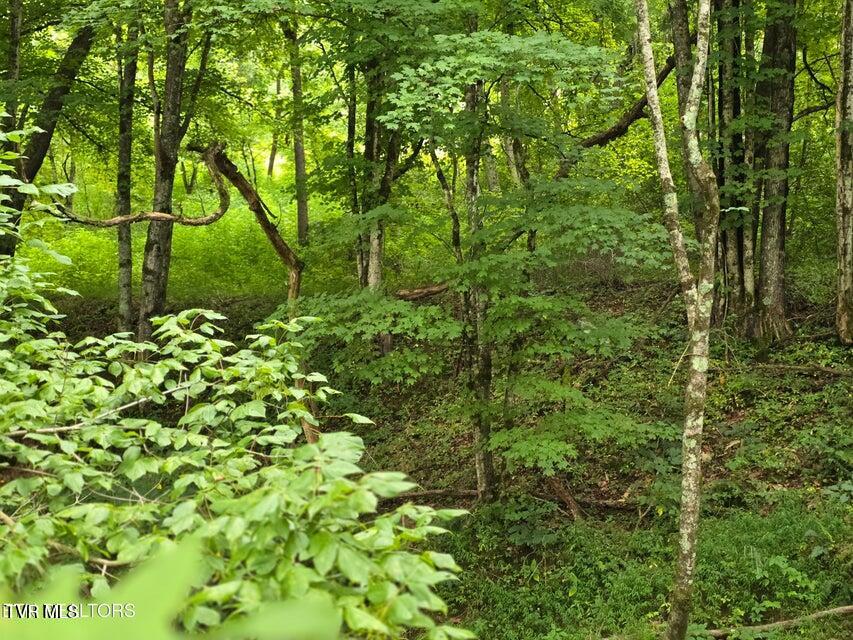 6835 Mulberry Gap Road Property Photo 51