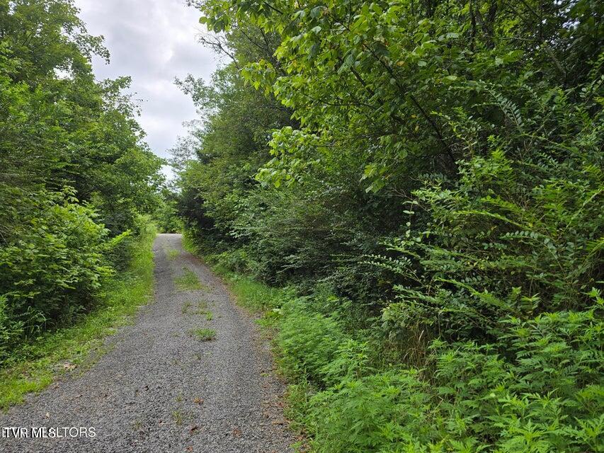 6835 Mulberry Gap Road Property Photo 52