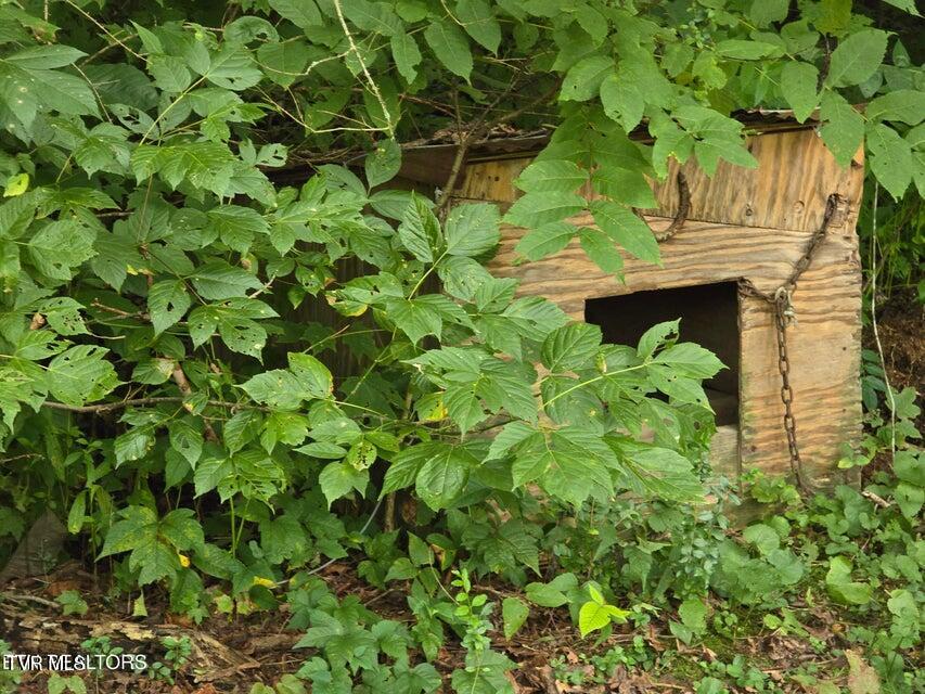 6835 Mulberry Gap Road Property Photo 55