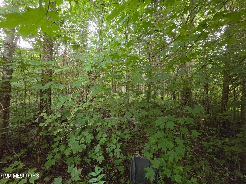 6835 Mulberry Gap Road Property Photo 56