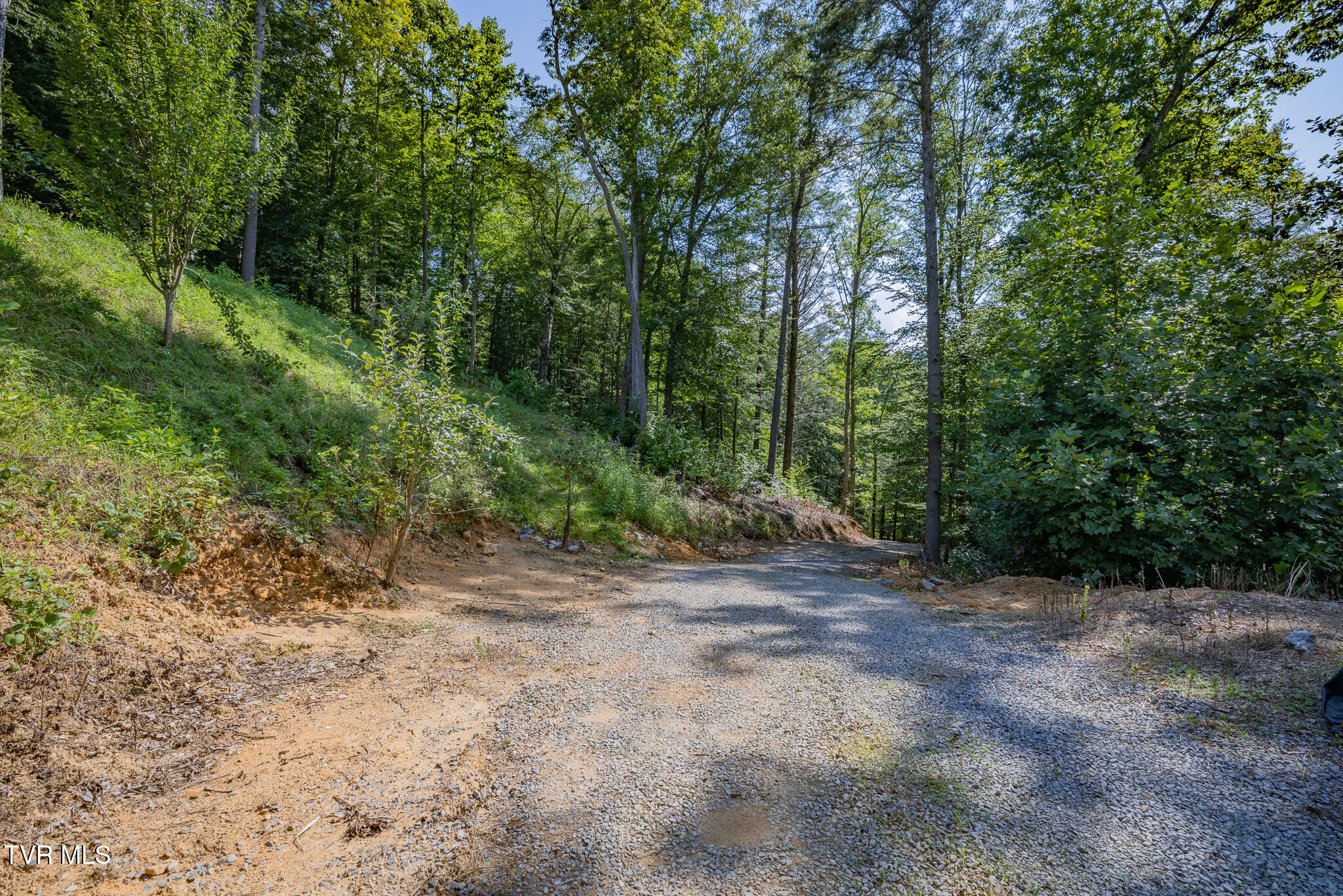 240 Little Branch Road Property Photo 9