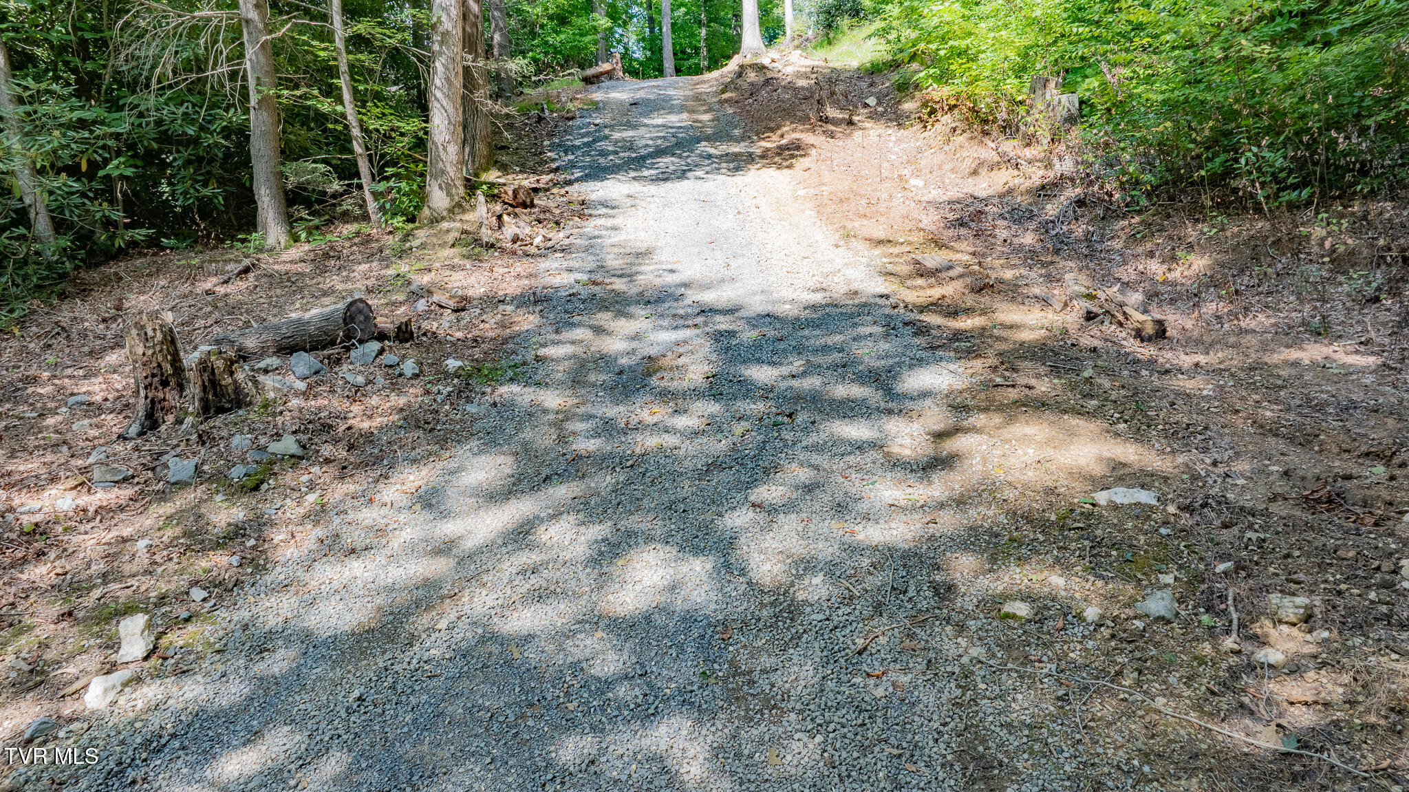 240 Little Branch Road Property Photo 13