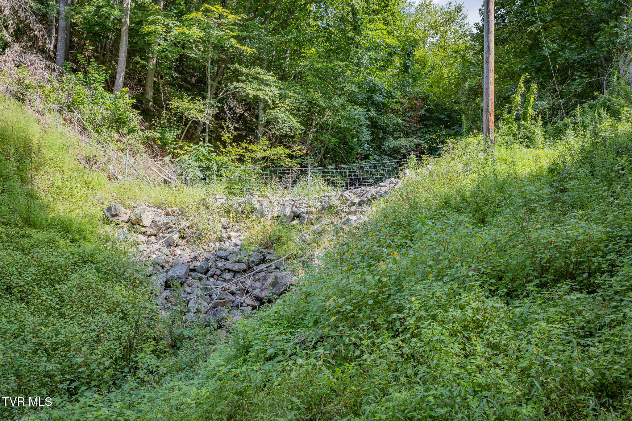 240 Little Branch Road Property Photo 17