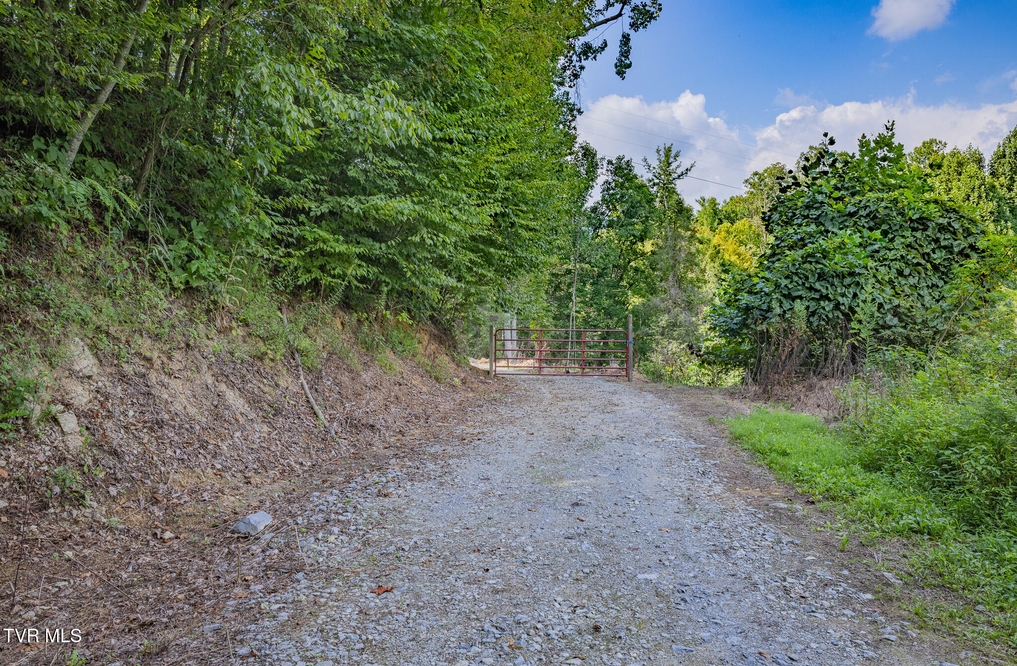 240 Little Branch Road Property Photo 18