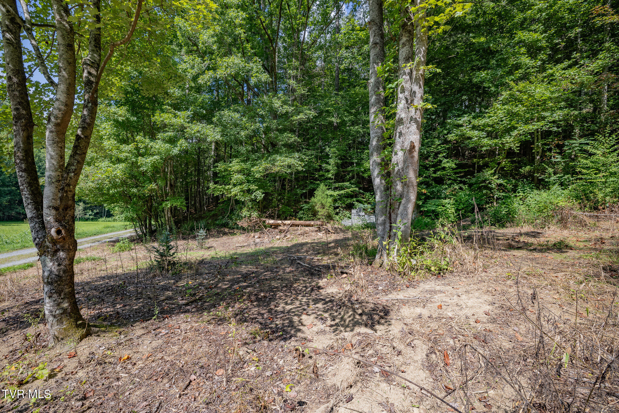 240 Little Branch Road Property Photo 19