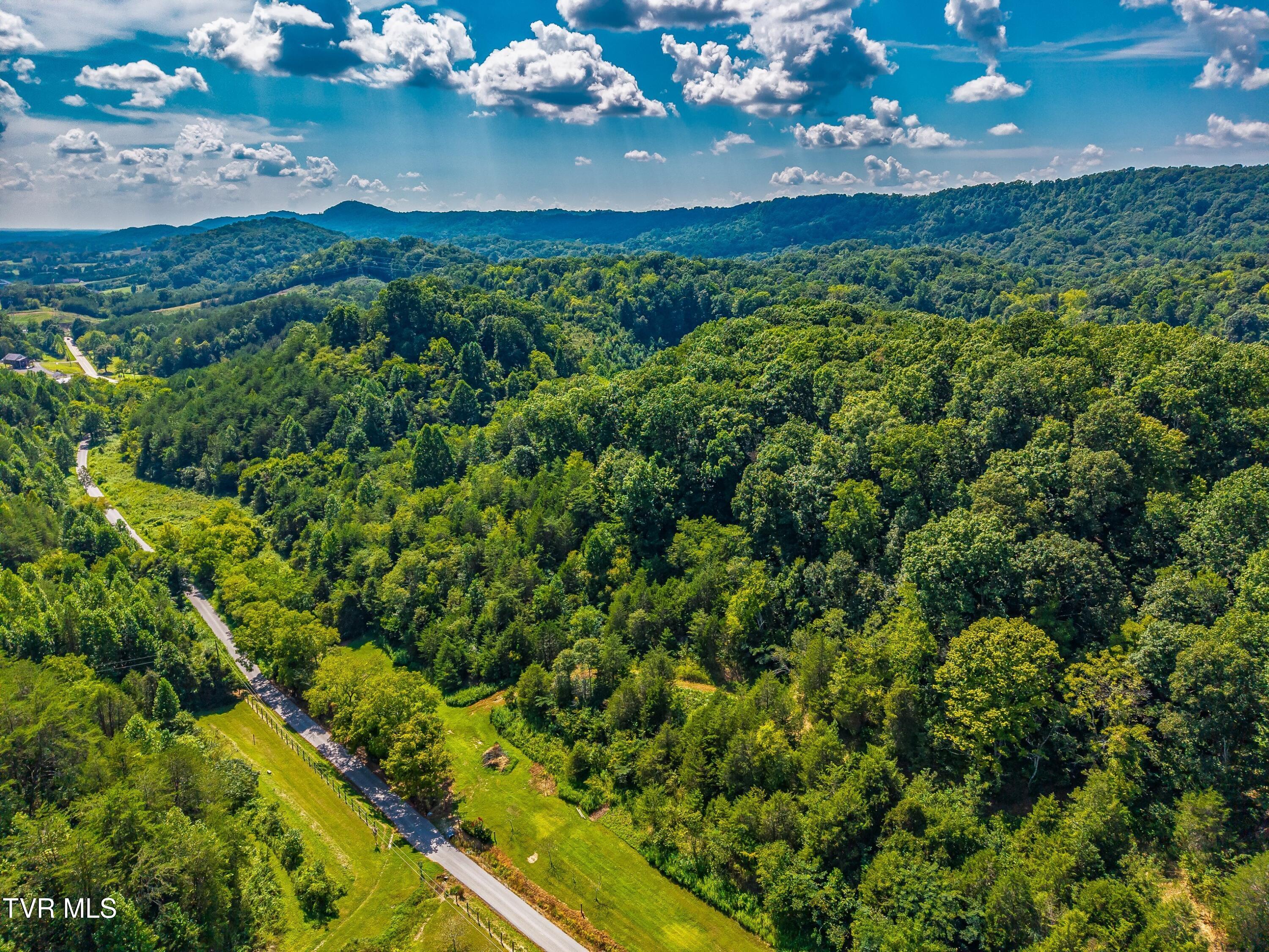 Lot 1 Bear Paw Ln Property Photo 10