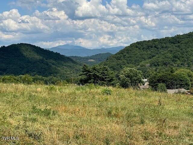 17470 Celebrity Lane Lane Property Photo 2