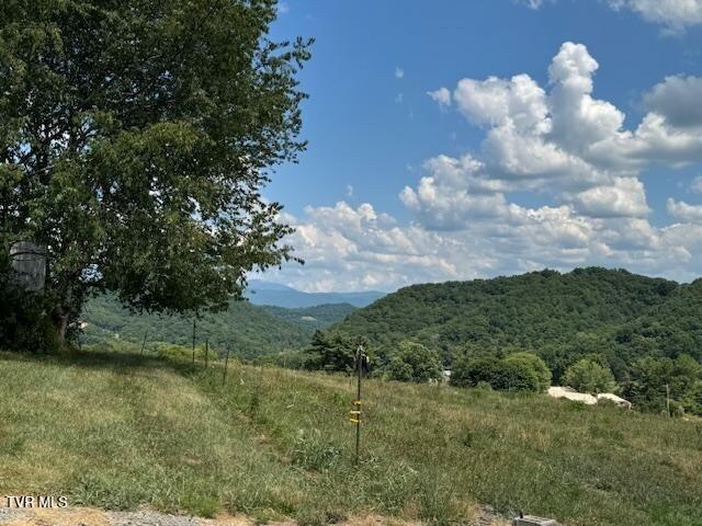 17470 Celebrity Lane Lane Property Photo 4