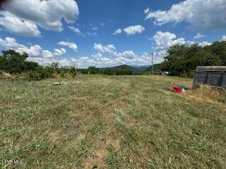 17470 Celebrity Lane Lane Property Photo 6