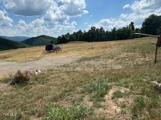 17470 Celebrity Lane Lane Property Photo 8