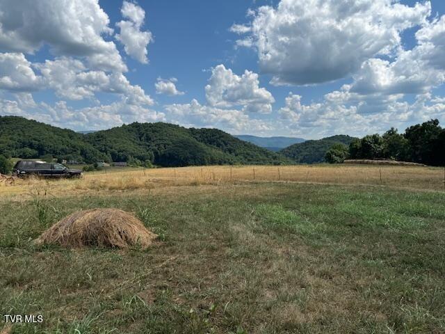 17470 Celebrity Lane Lane Property Photo 15