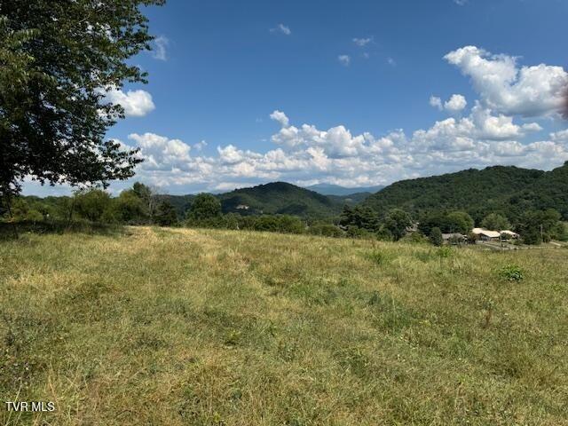 17470 Celebrity Lane Lane Property Photo 20