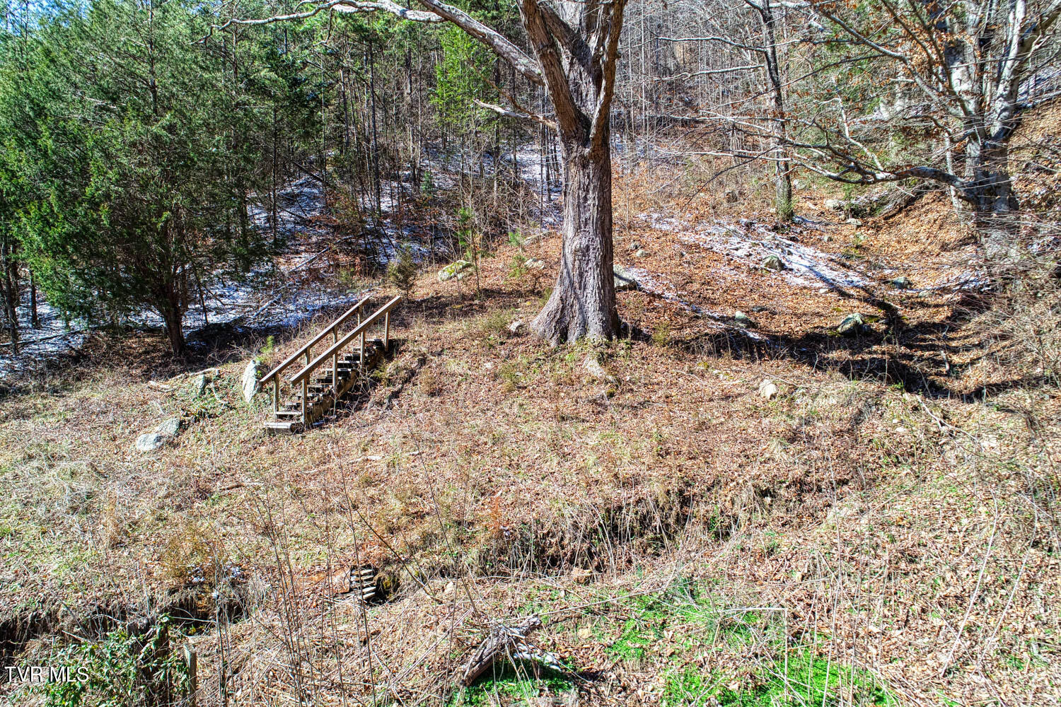 Tbd Grassy Creek Road Property Photo 4