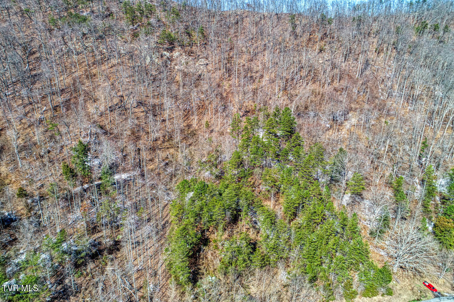 Tbd Grassy Creek Road Property Photo 6