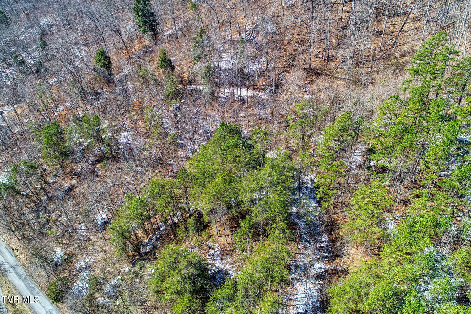 Tbd Grassy Creek Road Property Photo 11