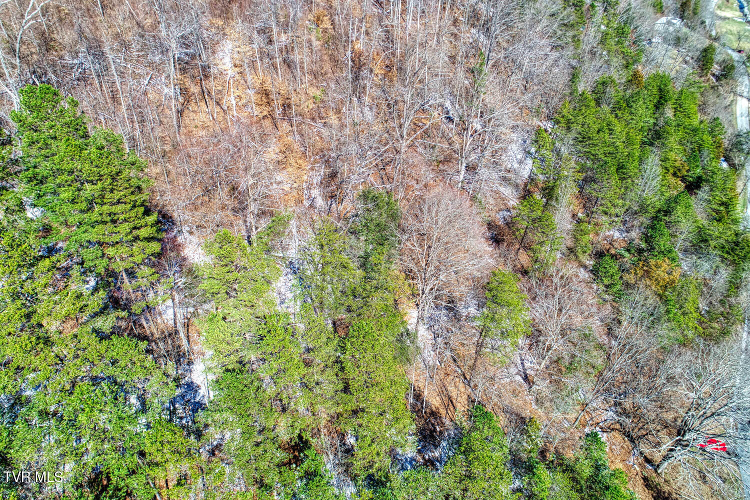 Tbd Grassy Creek Road Property Photo 12