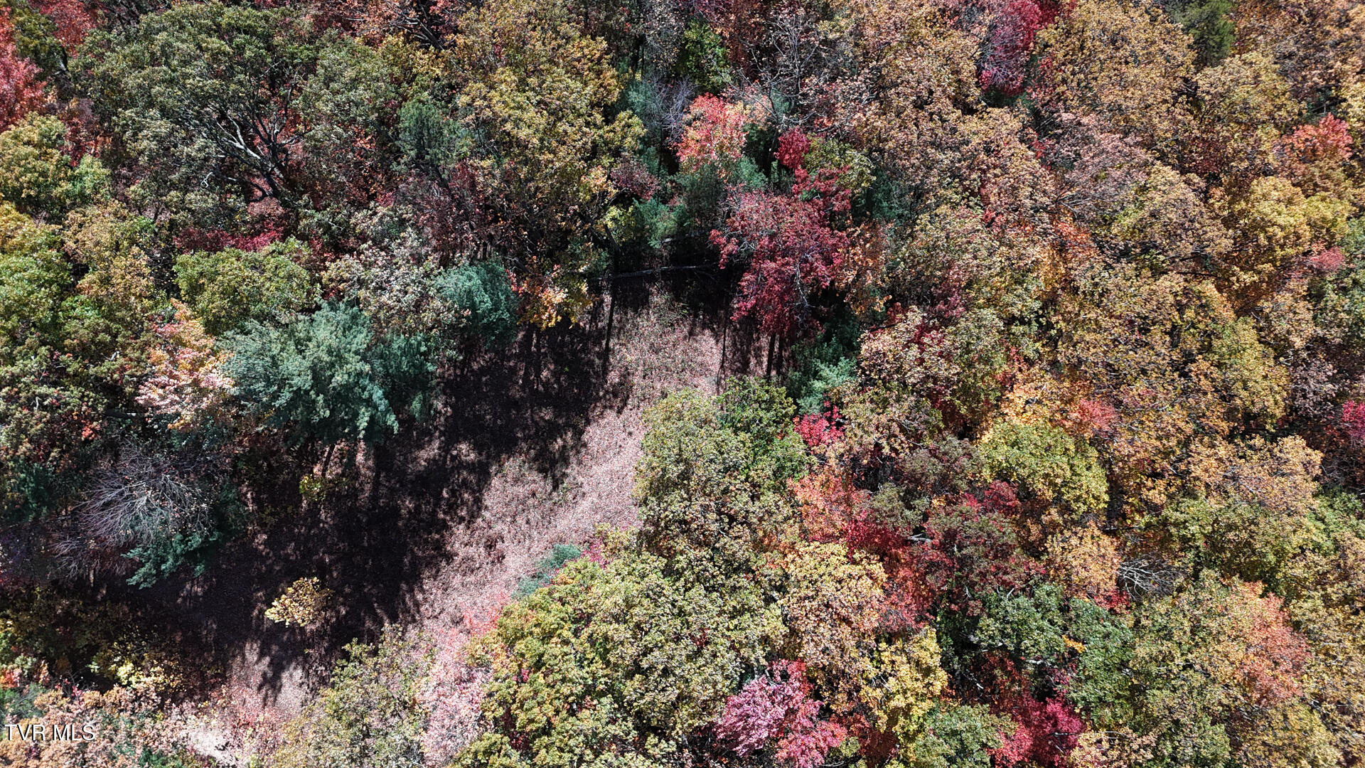 1205 Mays Ridge Road Property Photo 1