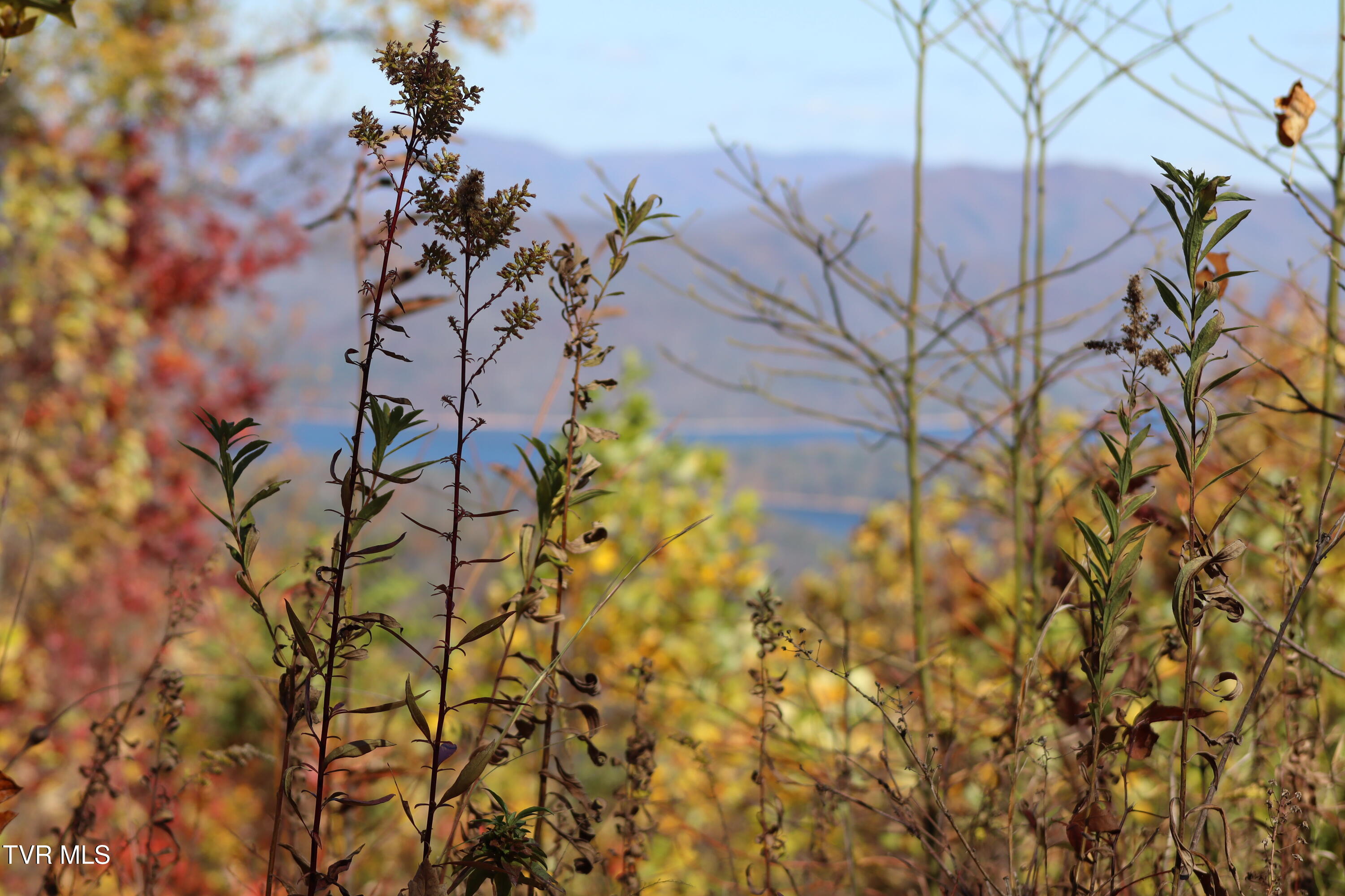 48 Locust Lane Property Photo 1