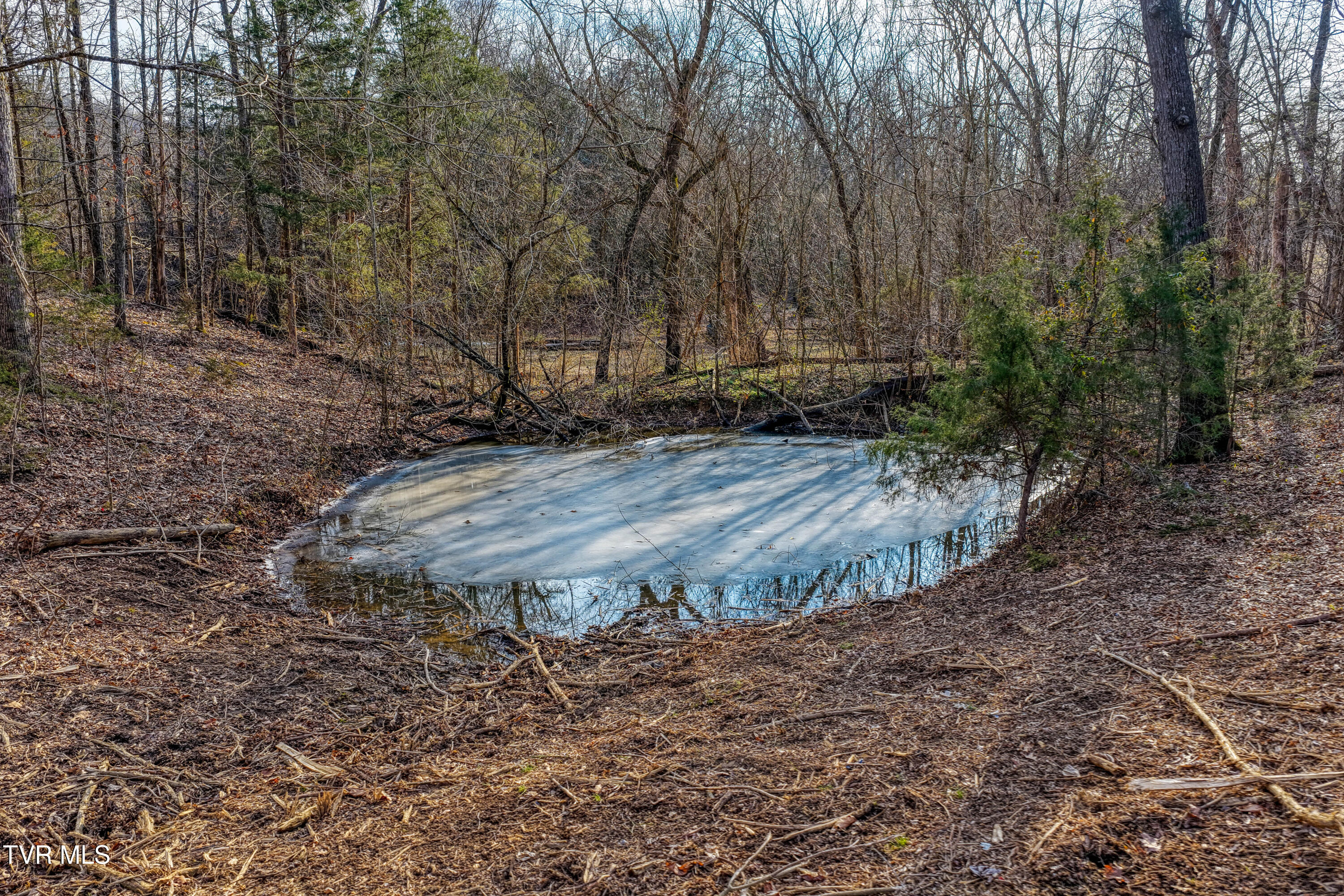 3870 Dulaney Road Property Photo 15