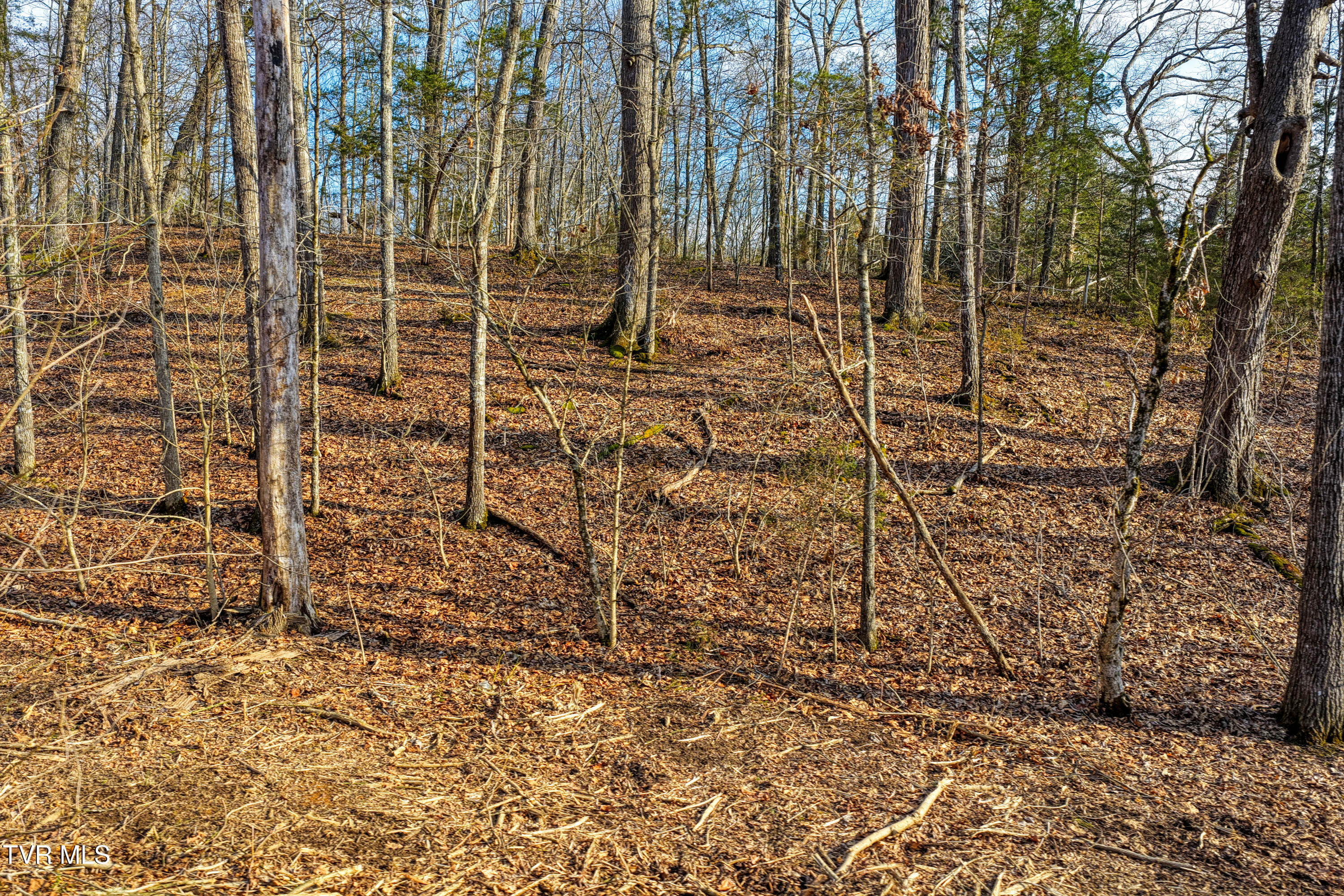3870 Dulaney Road Property Photo 16