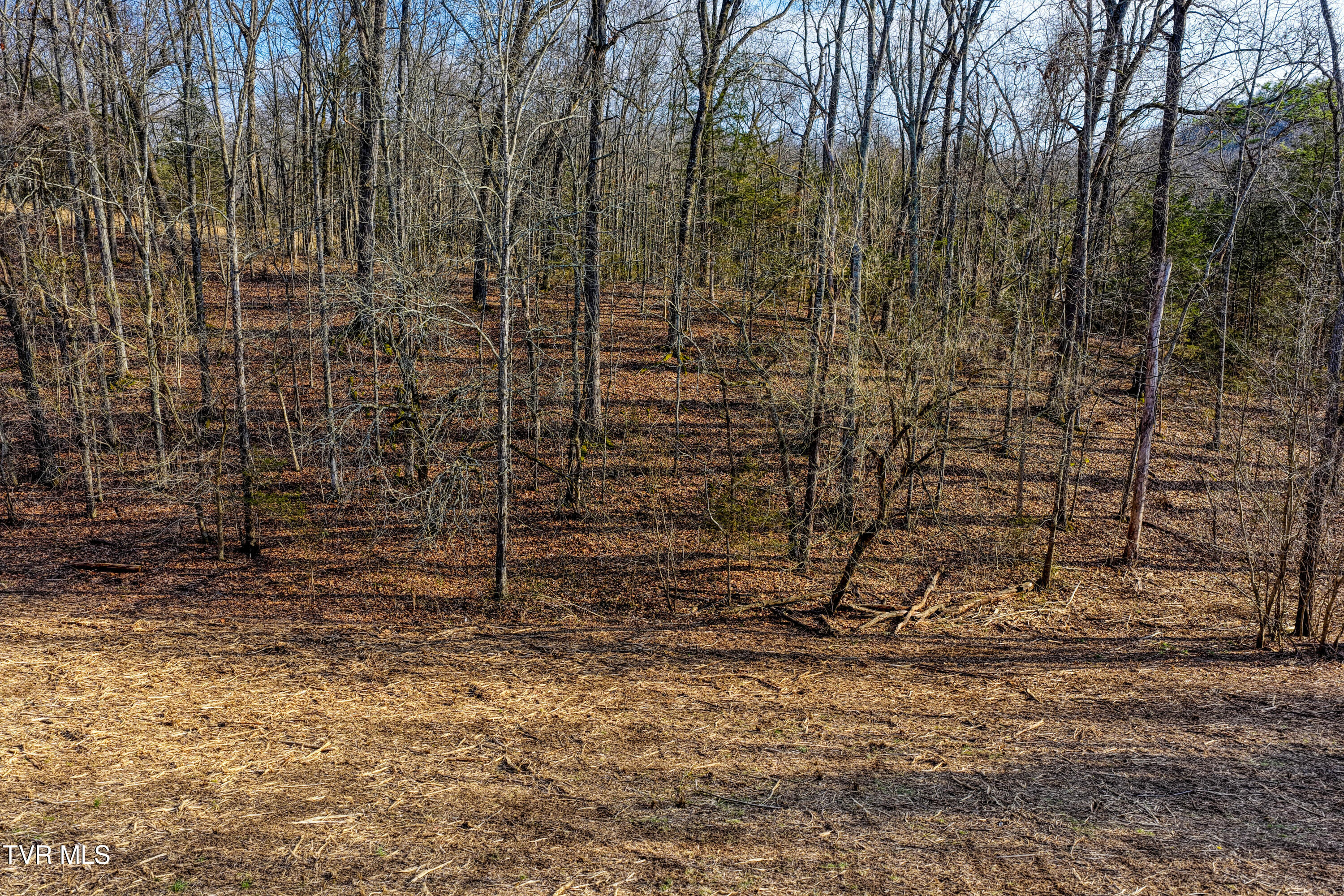 3870 Dulaney Road Property Photo 18