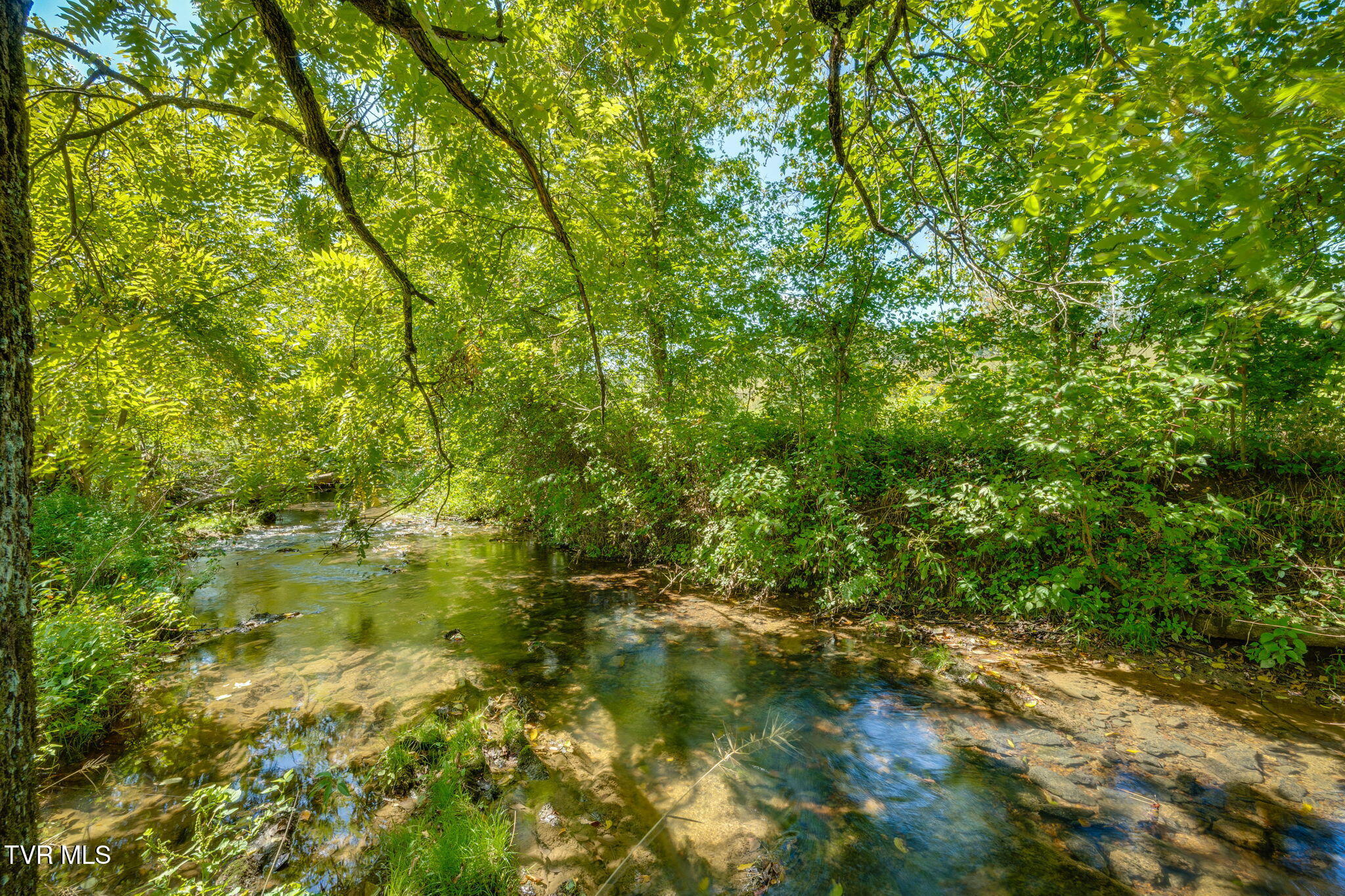 399 Carson Creek Road Property Photo 65