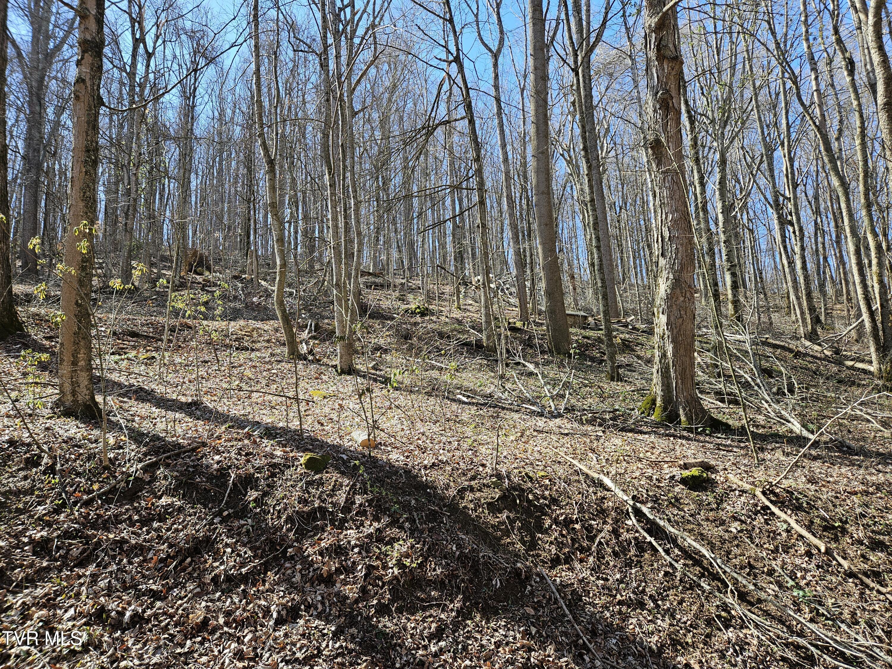 0 Shuler Hollow Road