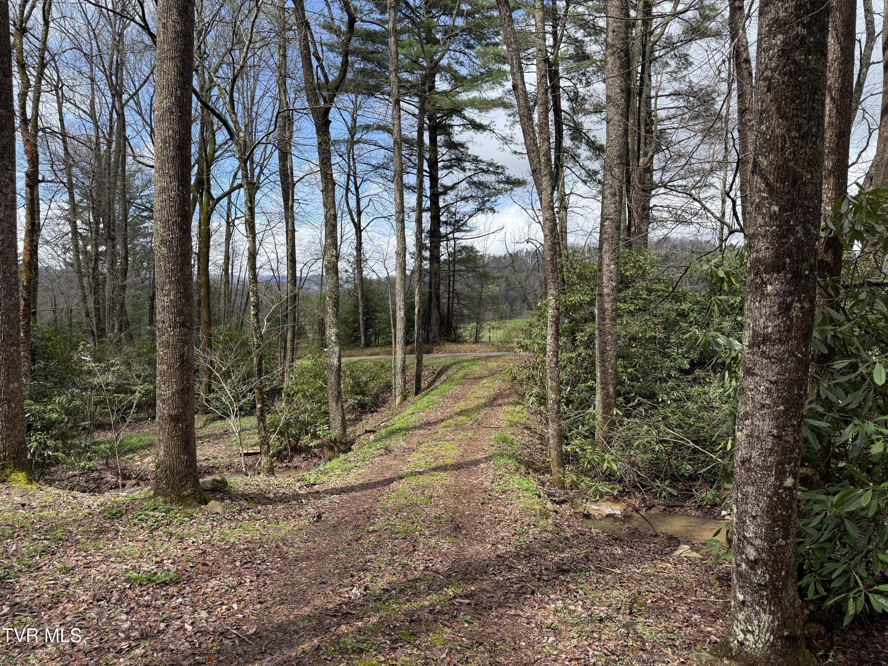 1770 Red Brush Road Property Photo 33