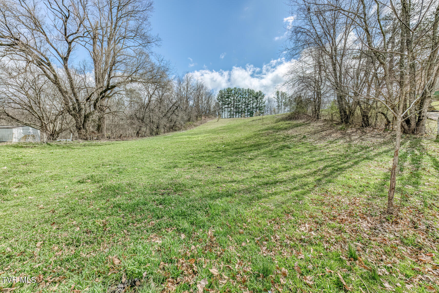 4456 Lee Highway Property Photo 18