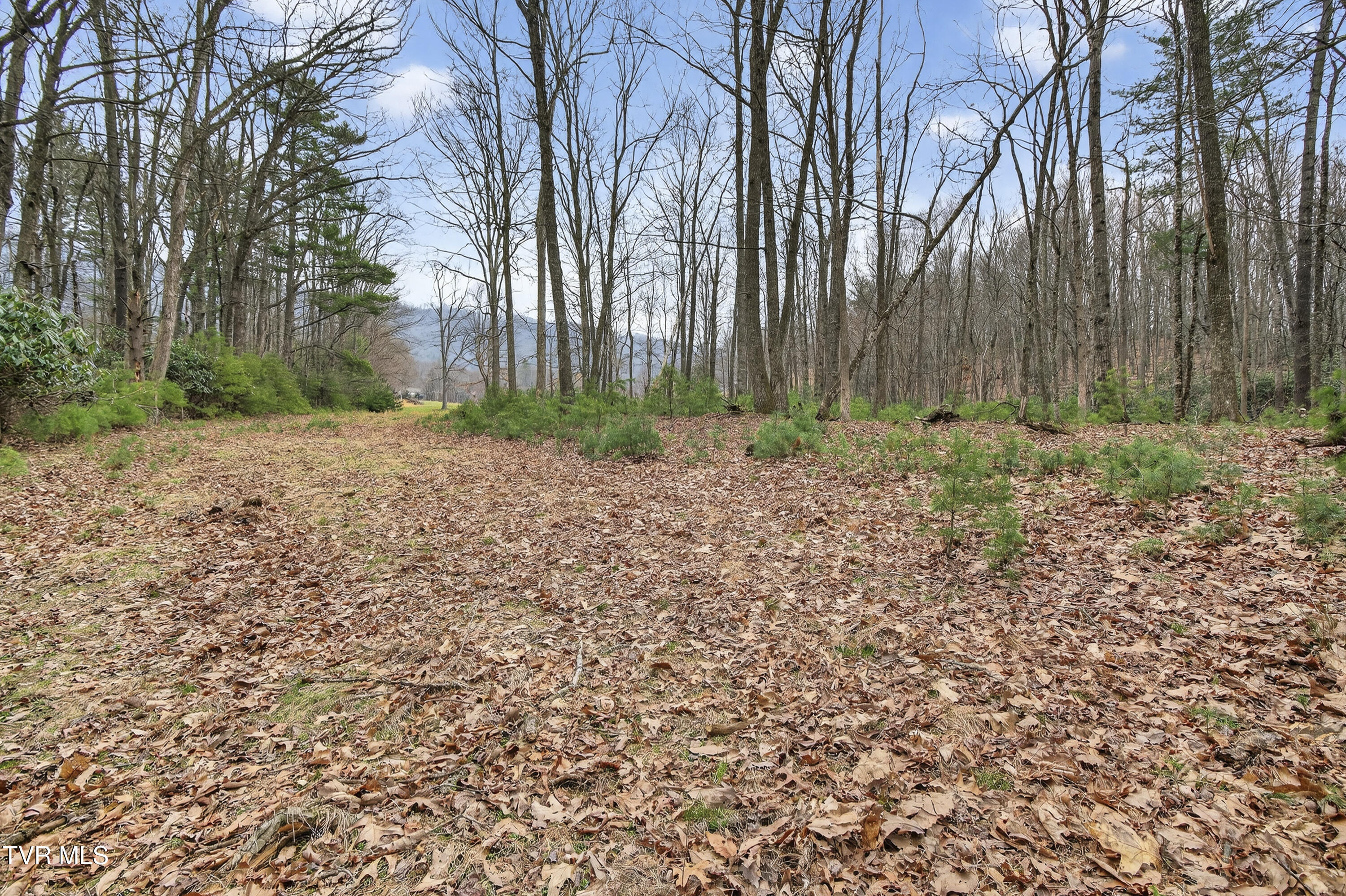 329 Mill Creek Road Property Photo 47