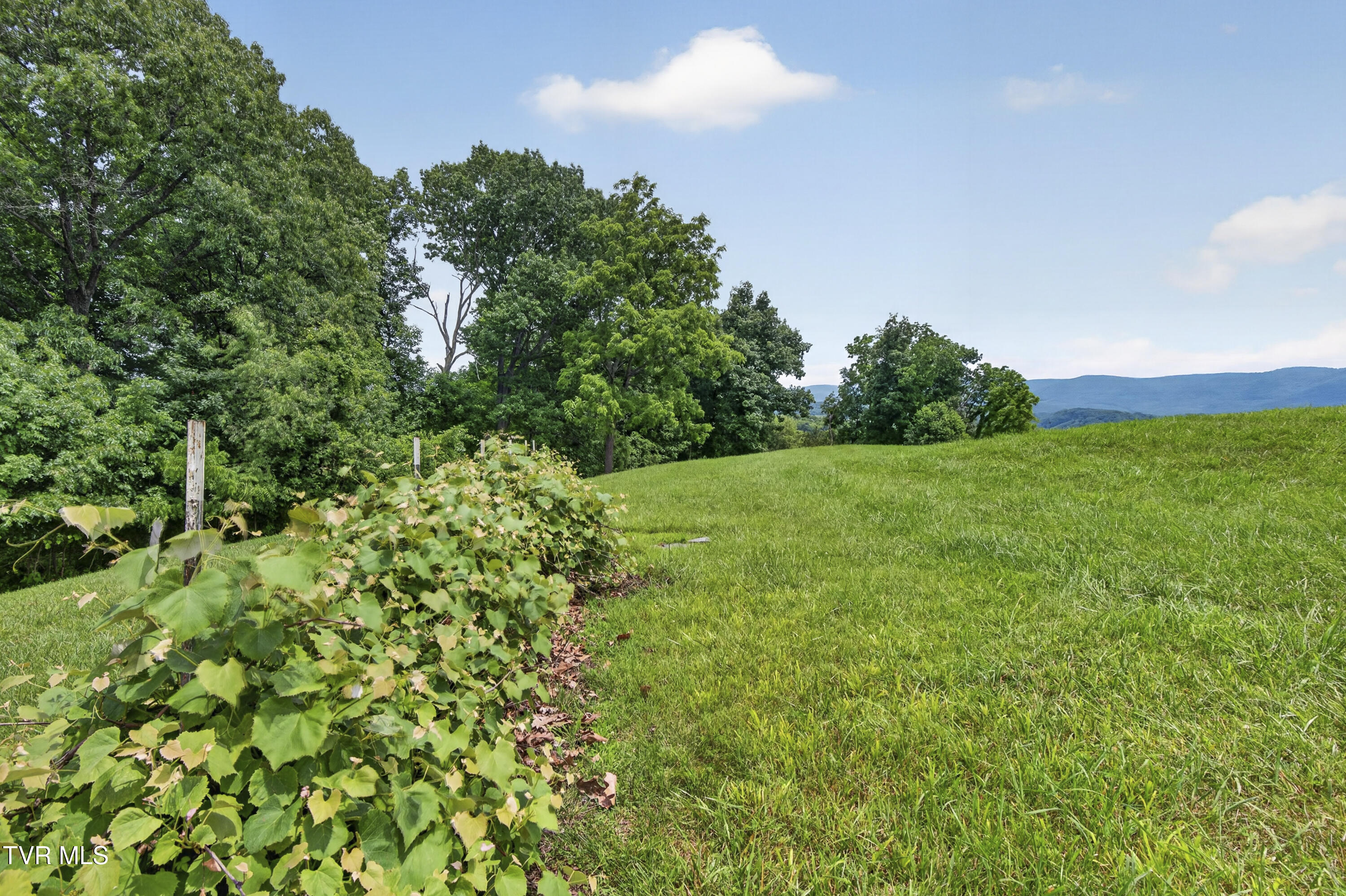15277 Bishop Road Property Photo 112