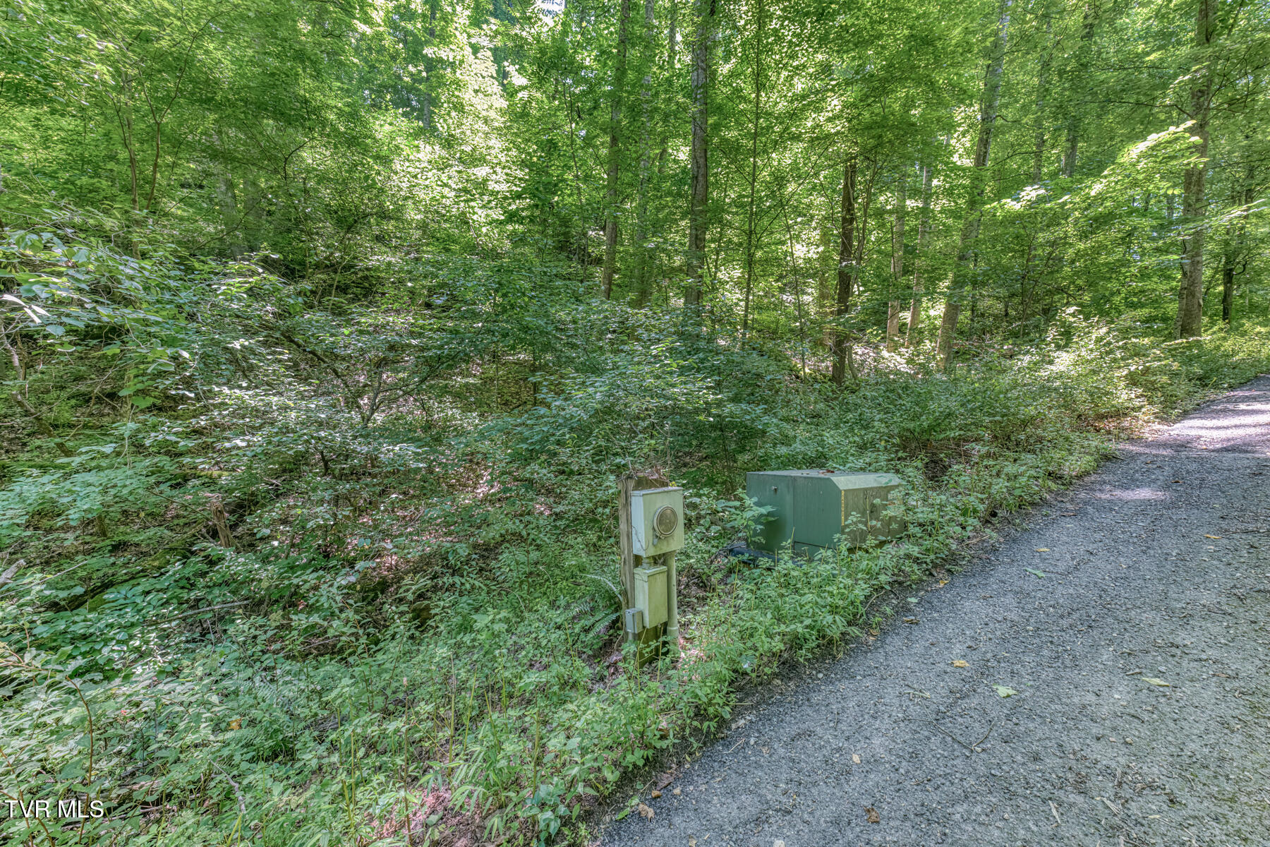 00 Banjo Ridge Property Photo 1
