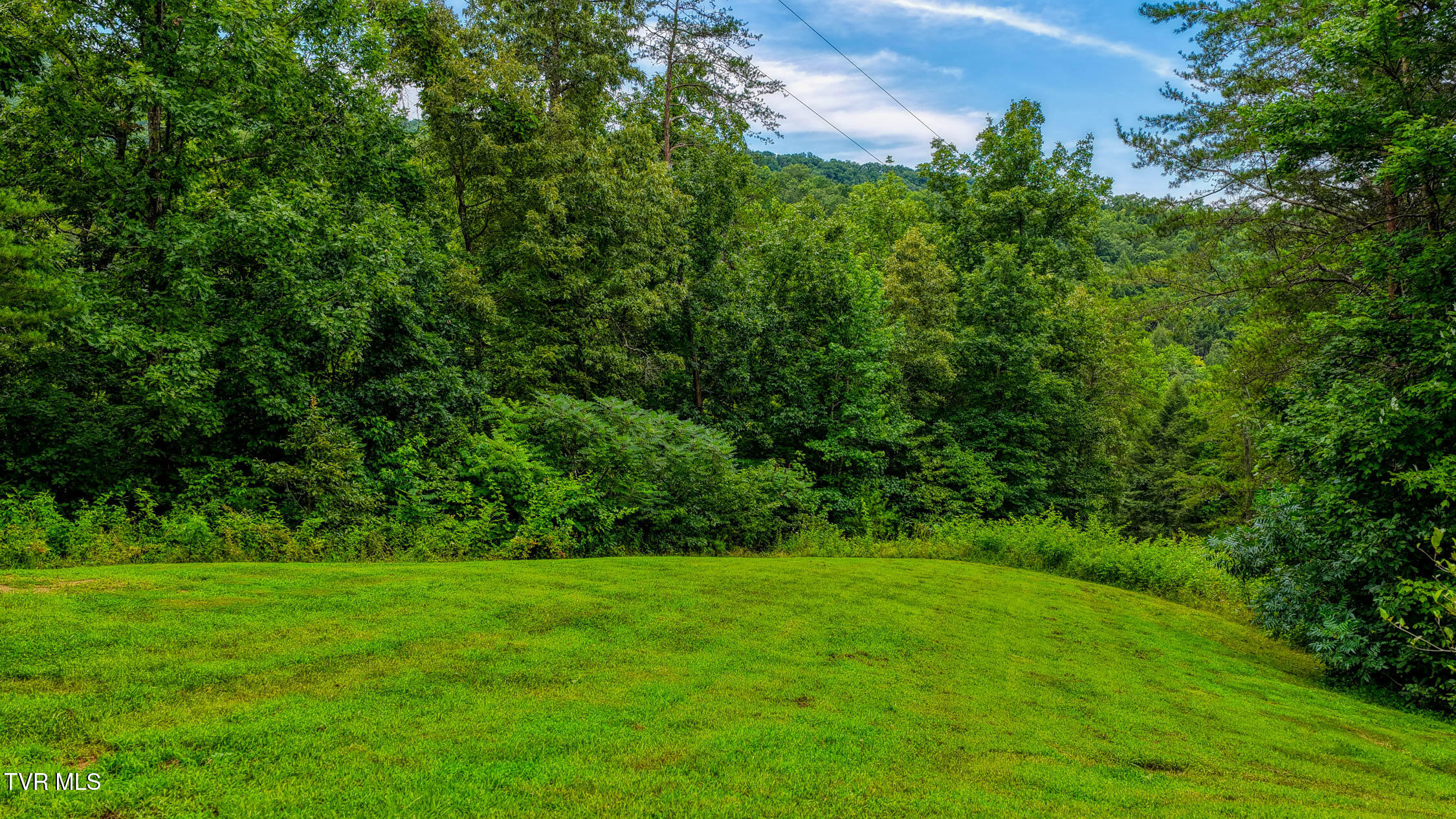 201 Early Branch Road Property Photo 89