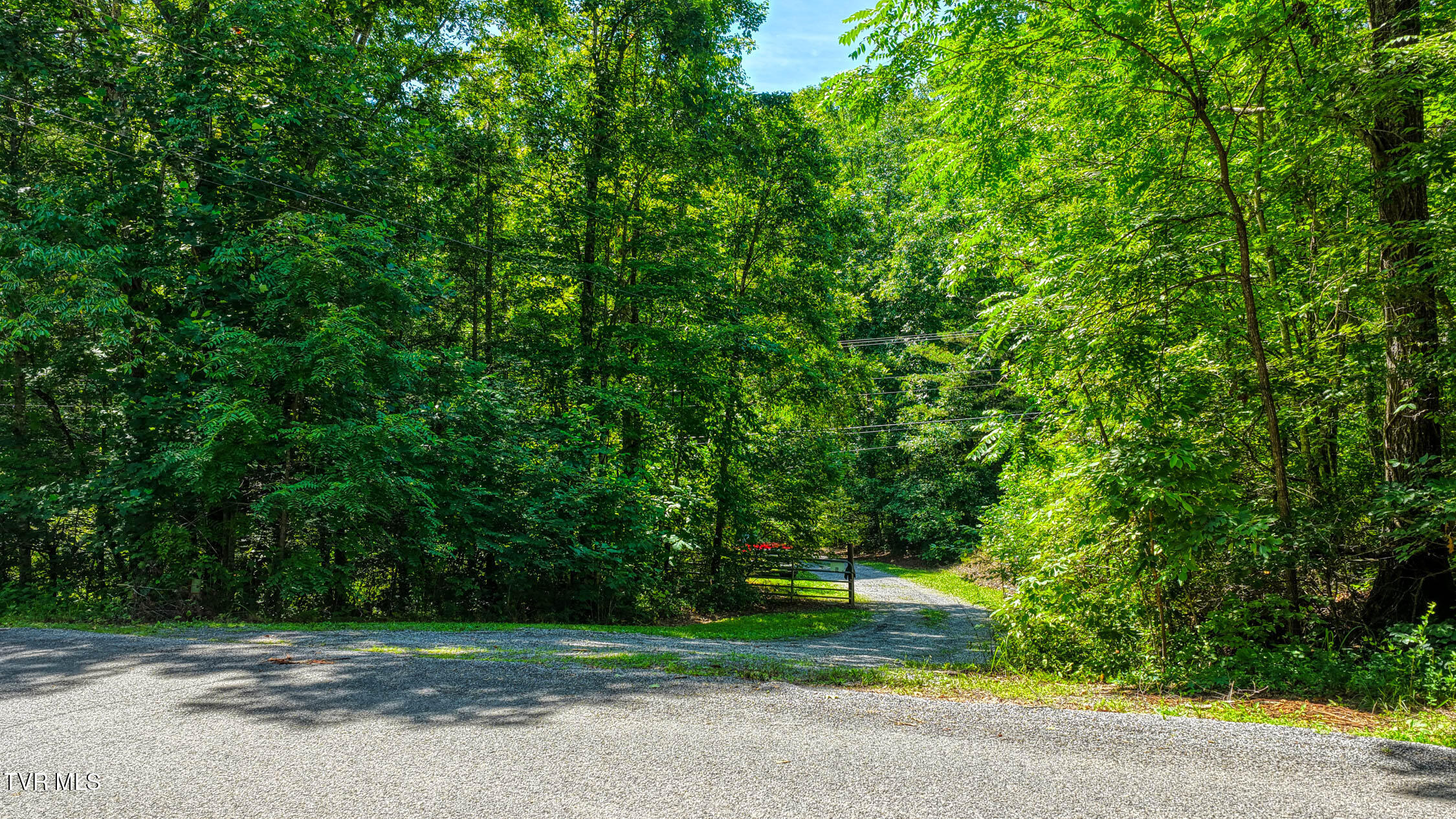 201 Early Branch Road Property Photo 139