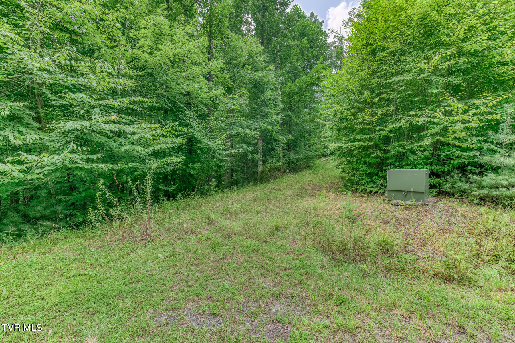 154 Highway 143 Property Photo 42