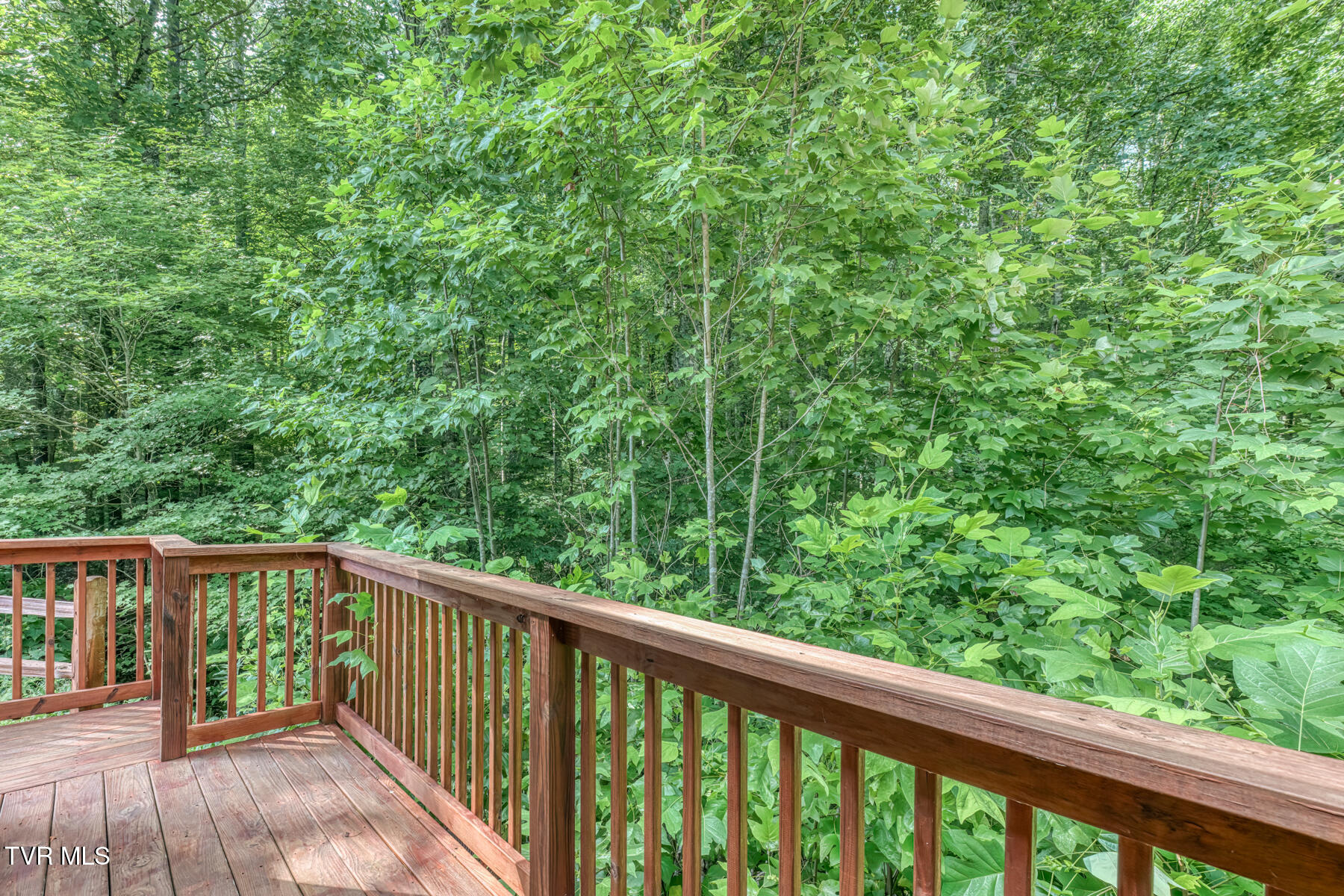 154 Highway 143 Property Photo 126