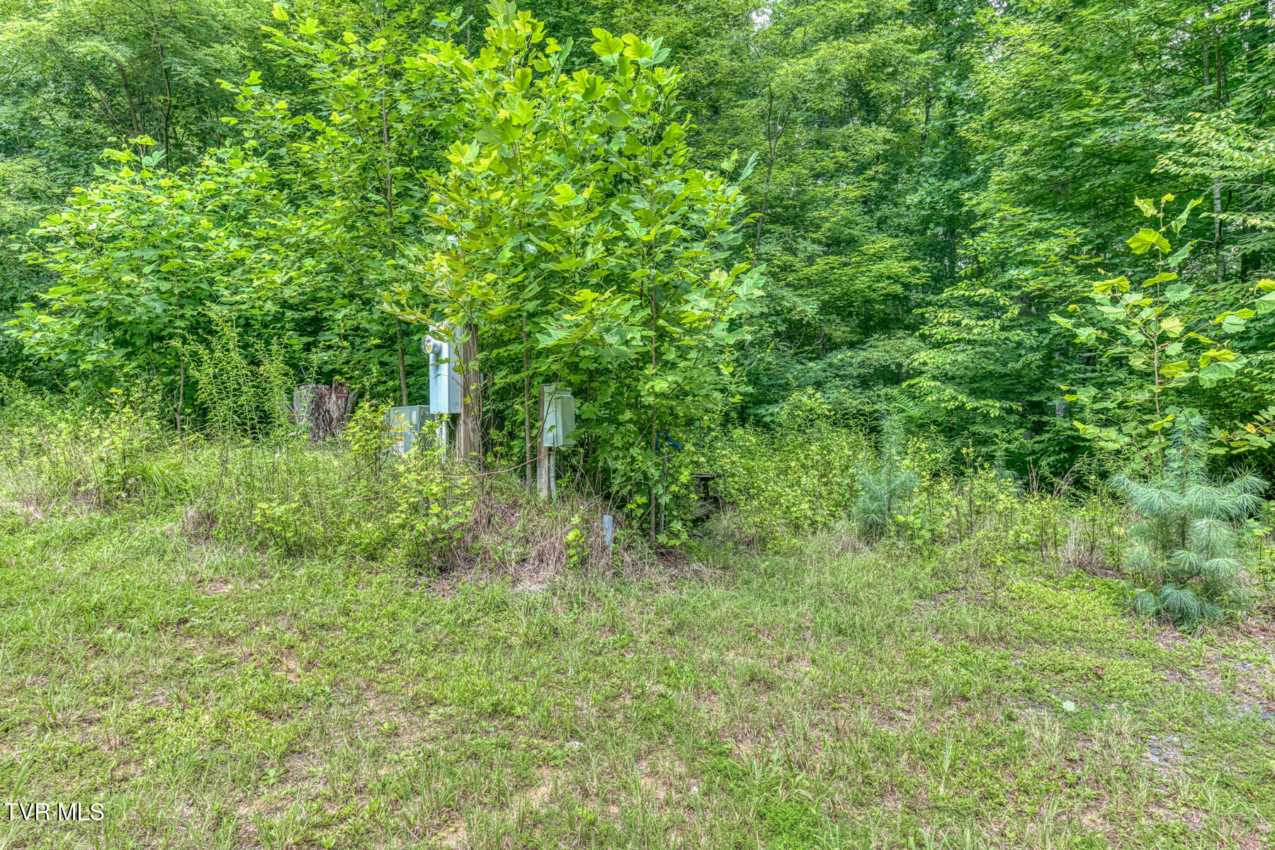 154 State Highway 143 Property Photo 116
