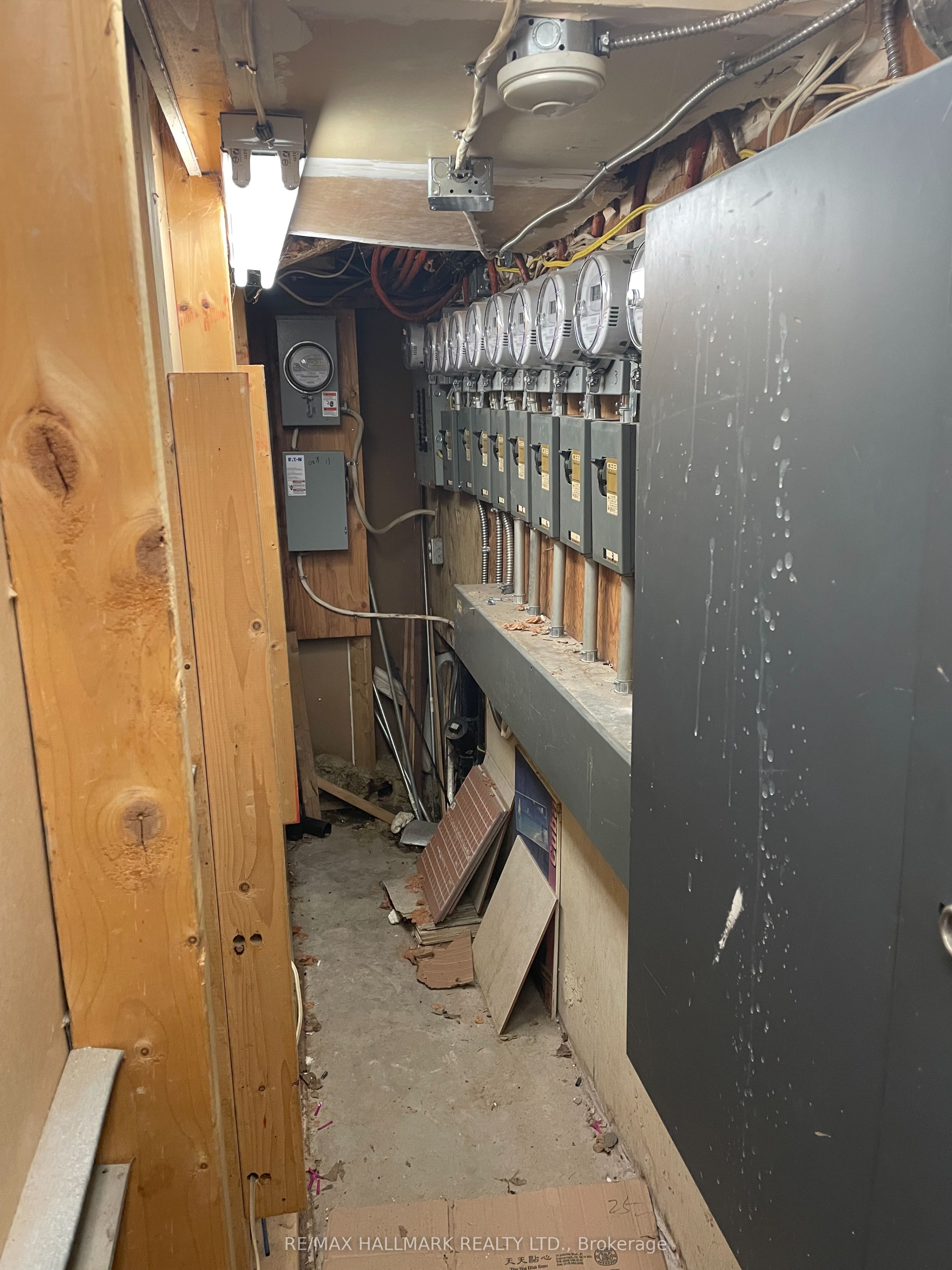 177 Carlton Street Property Photo 38