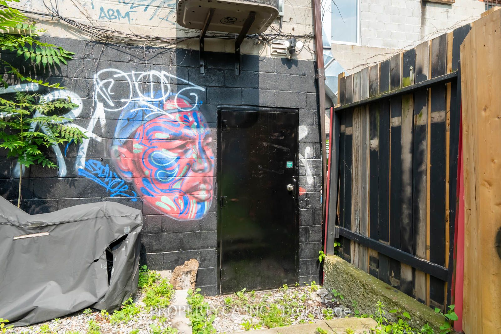 #bsmnt - 156 Augusta Avenue Property Photo 2