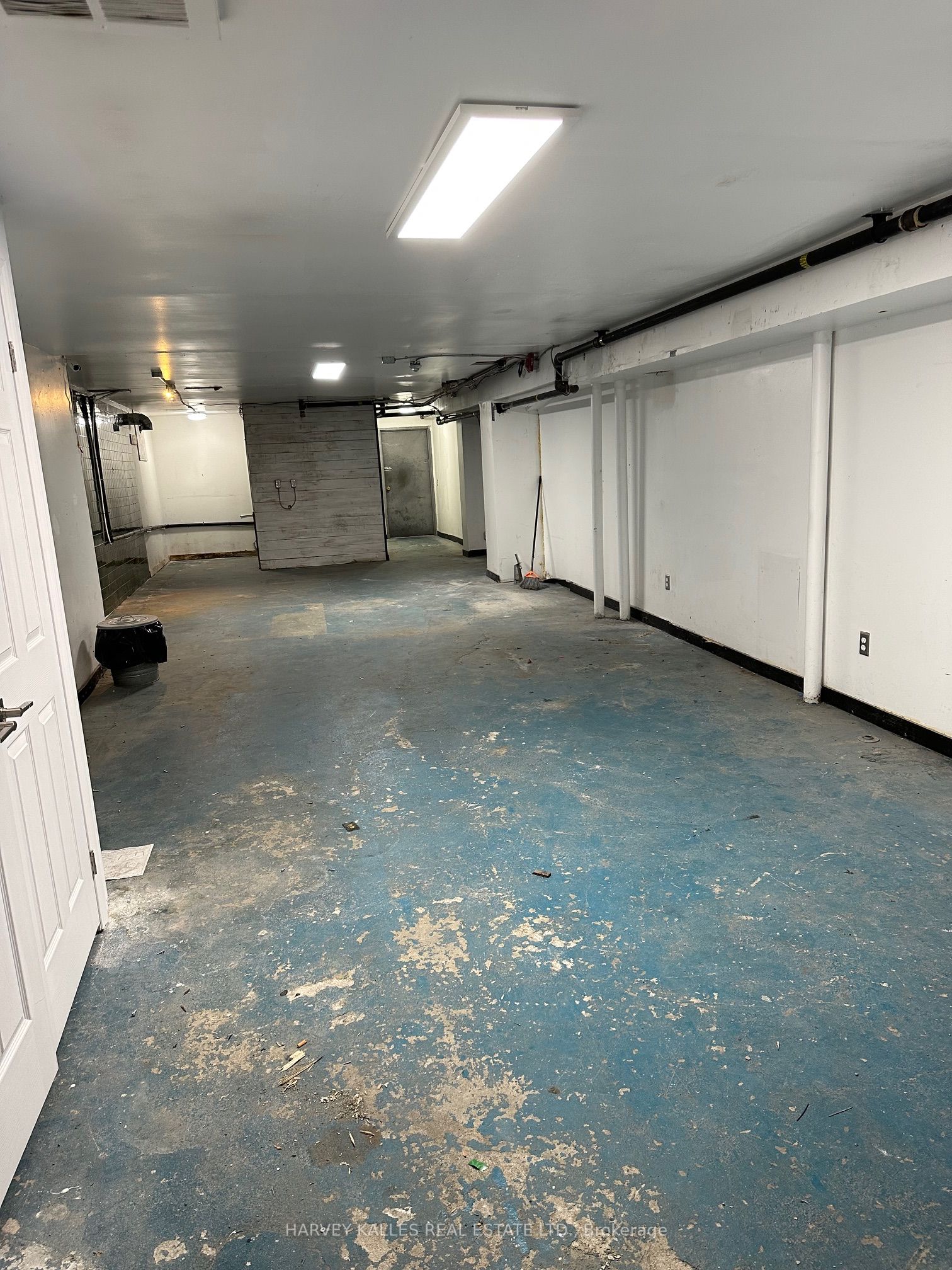 #lower - 198 Augusta Avenue Property Photo 2