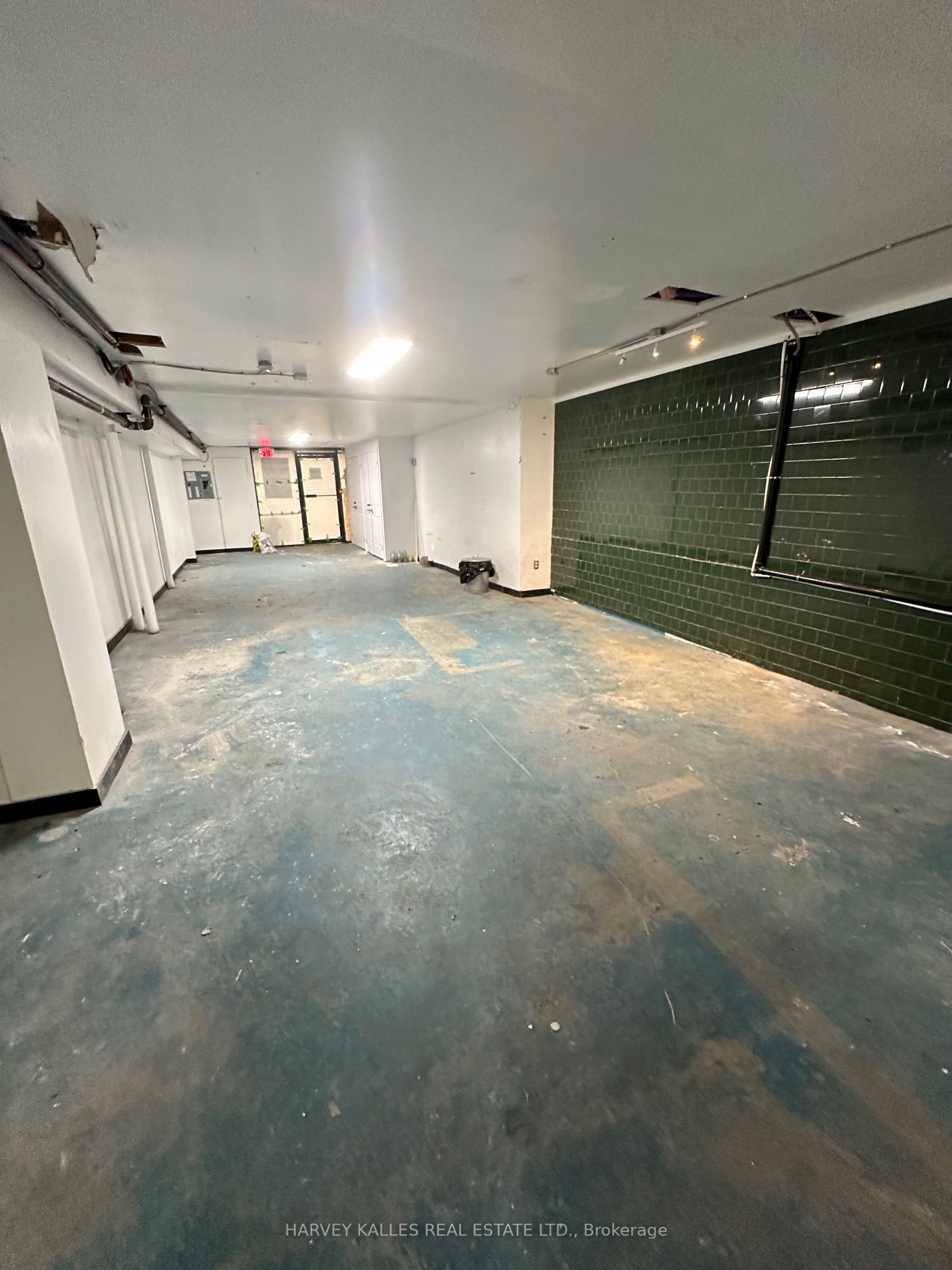 #lower - 198 Augusta Avenue Property Photo 4