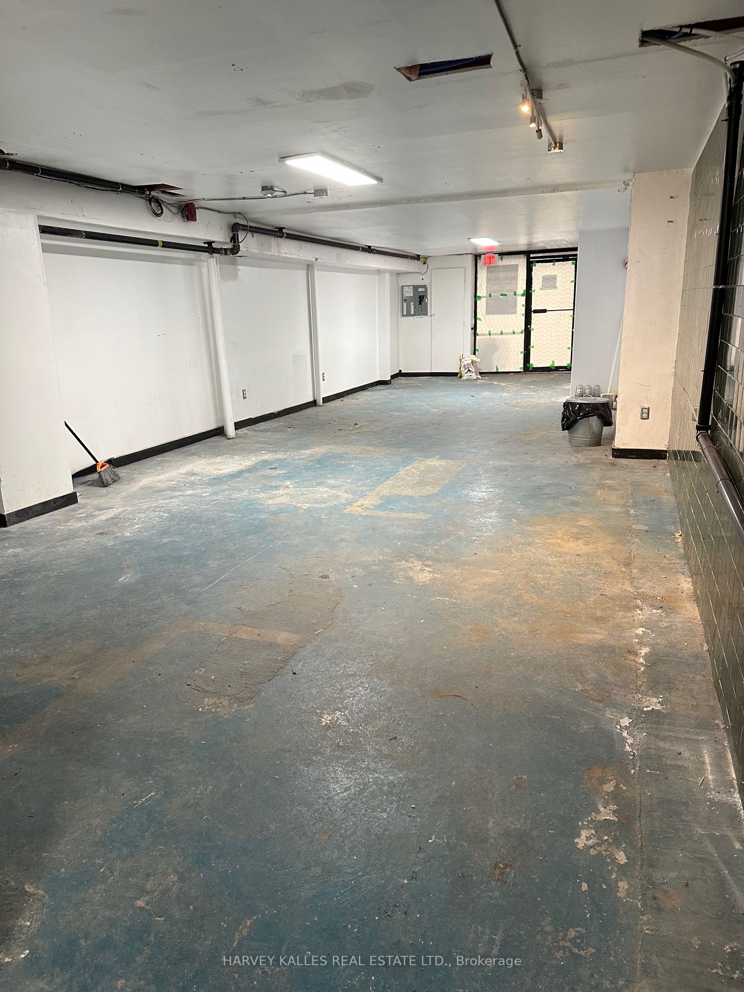 #lower - 198 Augusta Avenue Property Photo 5