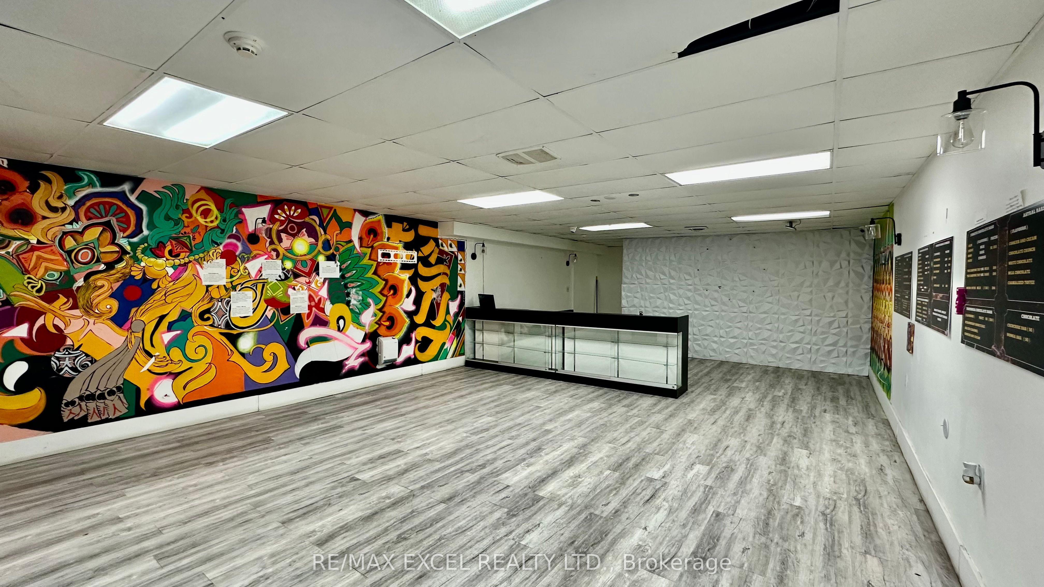 #lower - 357 Spadina Avenue Property Photo 1