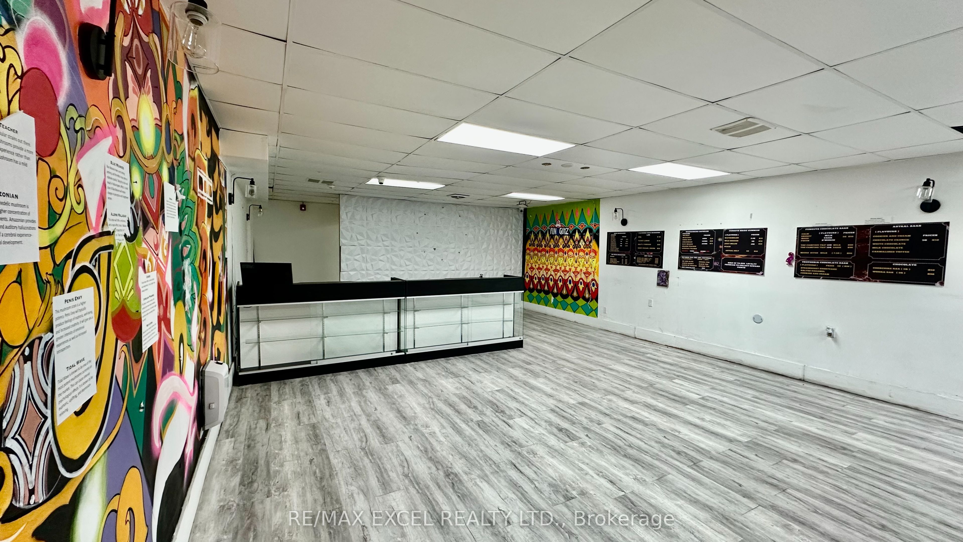 #lower - 357 Spadina Avenue Property Photo 2